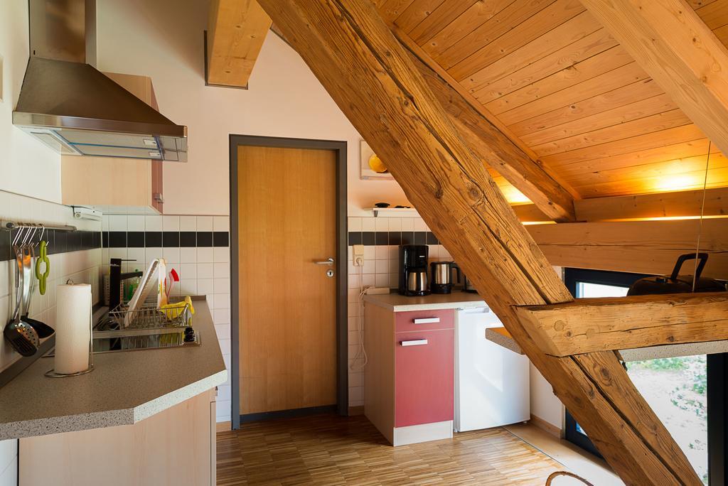 Alte Scheune Rietzschelhof Muglitztal Ngoại thất bức ảnh